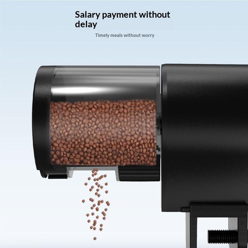 Automatic Fish Feeder With Tim - Fishing Line Dispenser avis et prix